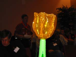 47 157_5704 Tulpe aus Holland