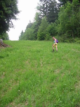 128-2895 steile helling