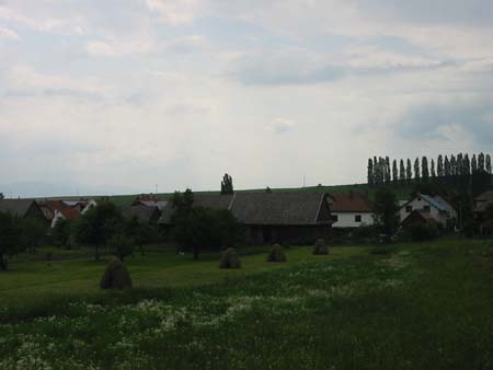 128-2900 dorpje