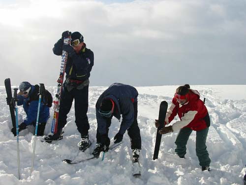 156_5601 ski zoeken 3